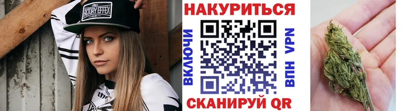 Бошки марихуана сатива  купить наркоту  Анапа 